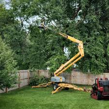 Best Lawn Grading and Leveling  in Gambrills, MD